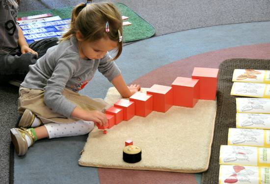 Kenapa Montessori?