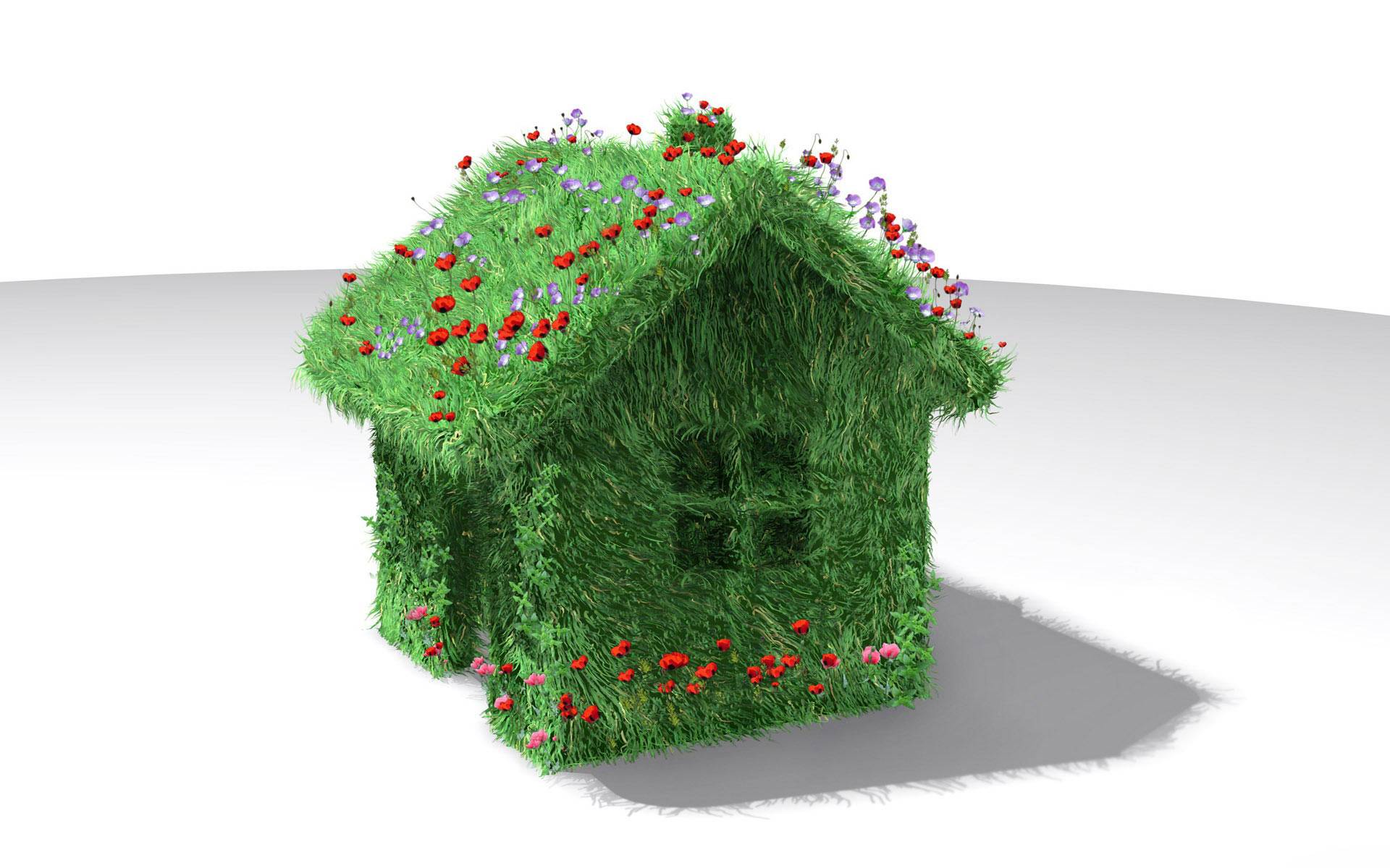 Tips Membuat Rumah Lebih Ramah Lingkungan