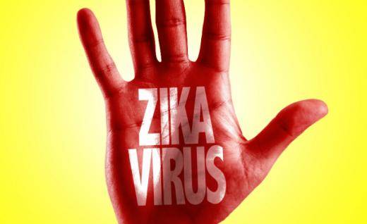 Apa Itu Virus Zika?