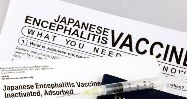 Waspada Penyebaran Virus Japanese Encephalitis (JE)
