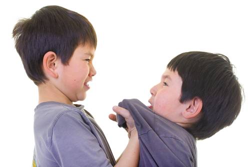 Sibling Bullying