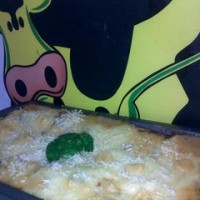 Lasagna Gulung