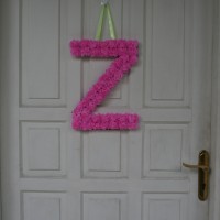 DIY : Carnation Pom Monogram