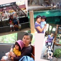 Bali Safari & Marine Park 