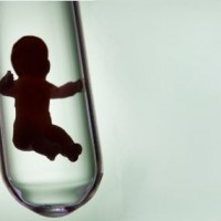 Sukses dengan Program Bayi Tabung