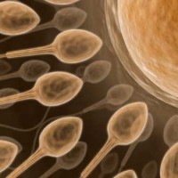 Terapi Fertilitas dengan Hypnoterapi