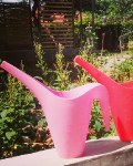 Berkebun Sejak Dini