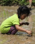 Menjadi Petani di Taman Wisata Mekarsari