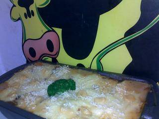 Lasagna Gulung