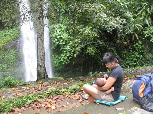 Aman Menjelajah Hutan Bersama Bayi