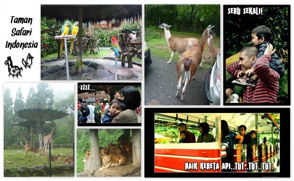 Sebelum Safari Ke Afrika, Yuk Ke Cisarua Dulu!