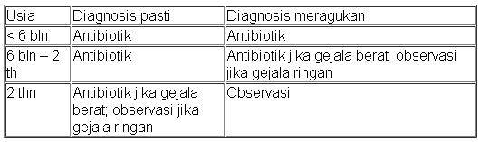Infeksi Telinga dan Pencegahannya