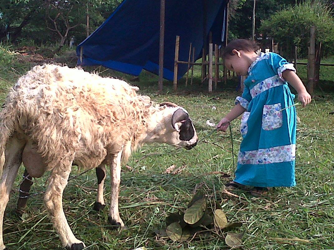 Belajar Dari si Mak