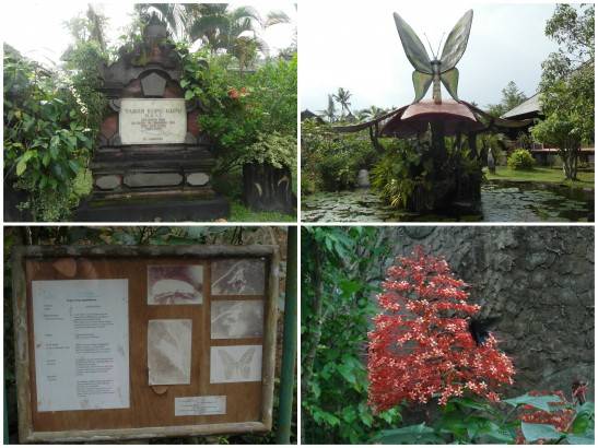 Bermain Bersama Kupu Kupu di Butterfly Park