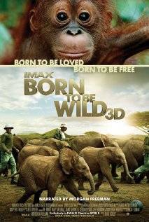 Nonton Born to be Wild di Keong Mas