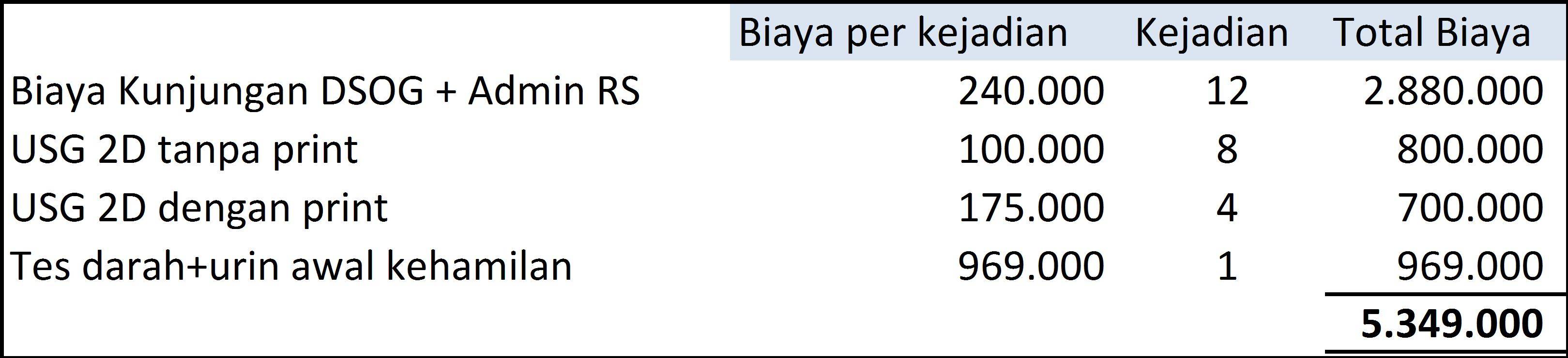 Menghitung Biaya Selama Hamil