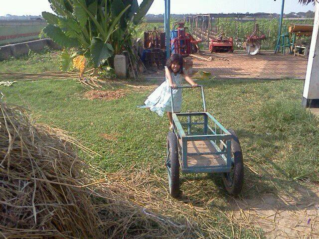 Liburan Ikut ke Kantor