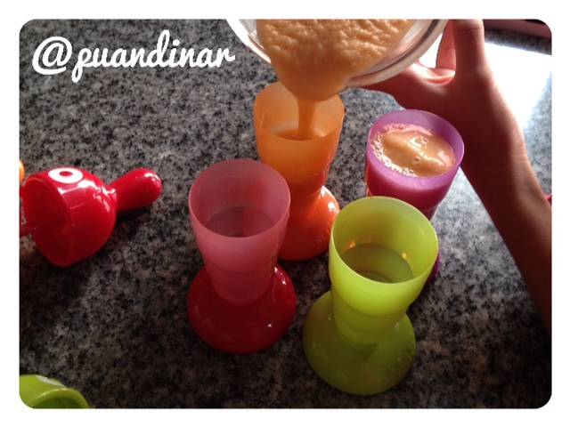 Melon Popsicle