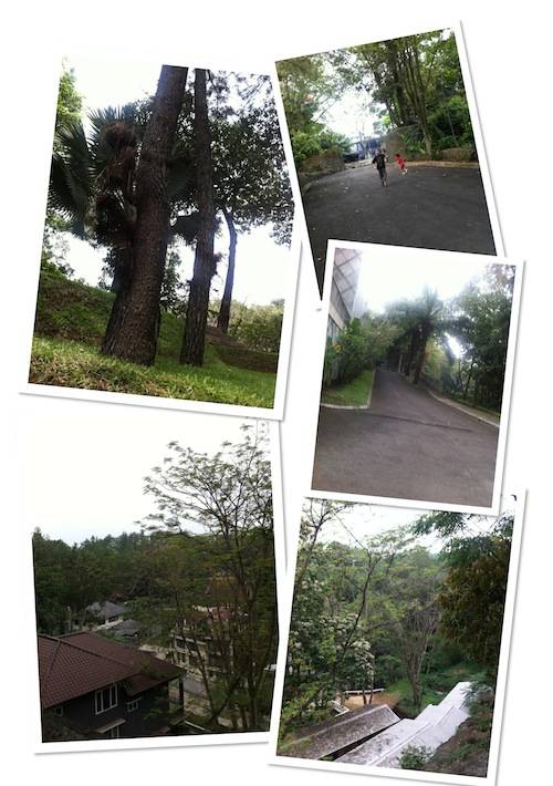Bandung Destination: NuArt Sculpture Park