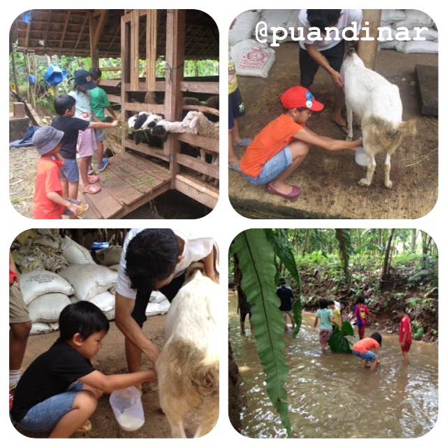Kampung 99 Pepohonan