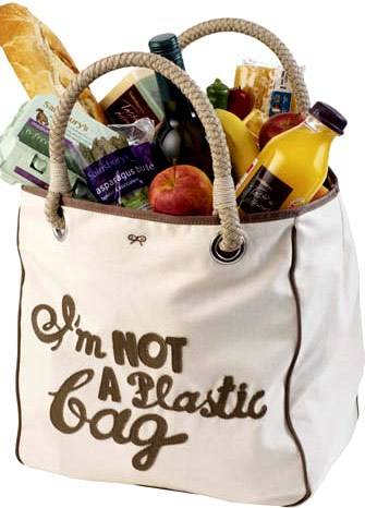 Goodbye Plastic Bags!
