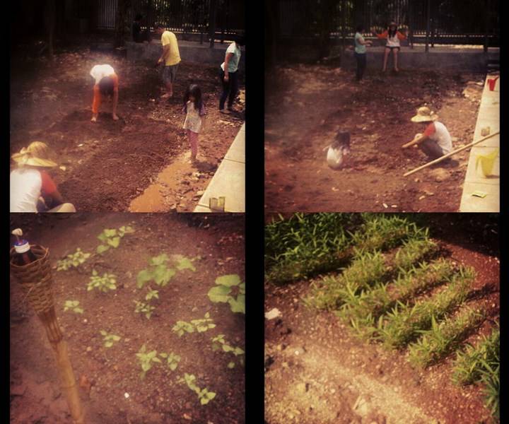 Berkebun Sejak Dini