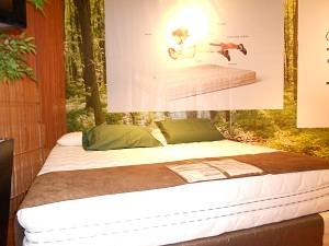 Wednesday Wishlist: Matras Magniflex