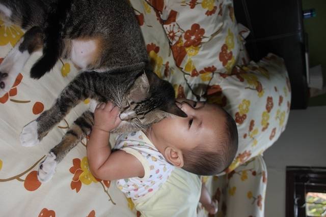 My Baby and Pets