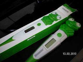 Sebelum Berobat ke Dokter