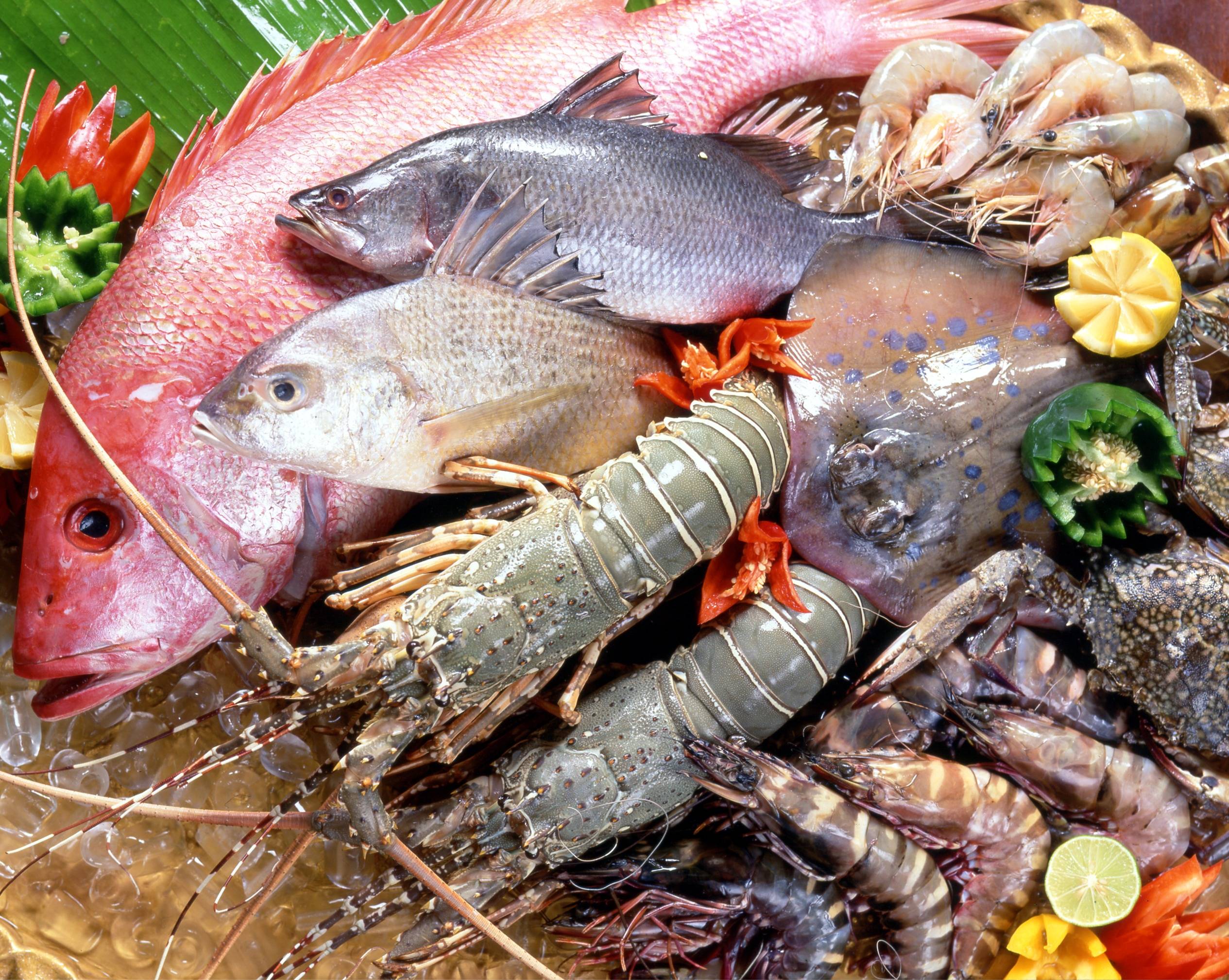 Sudah Gemar Makan Ikan, Belum?