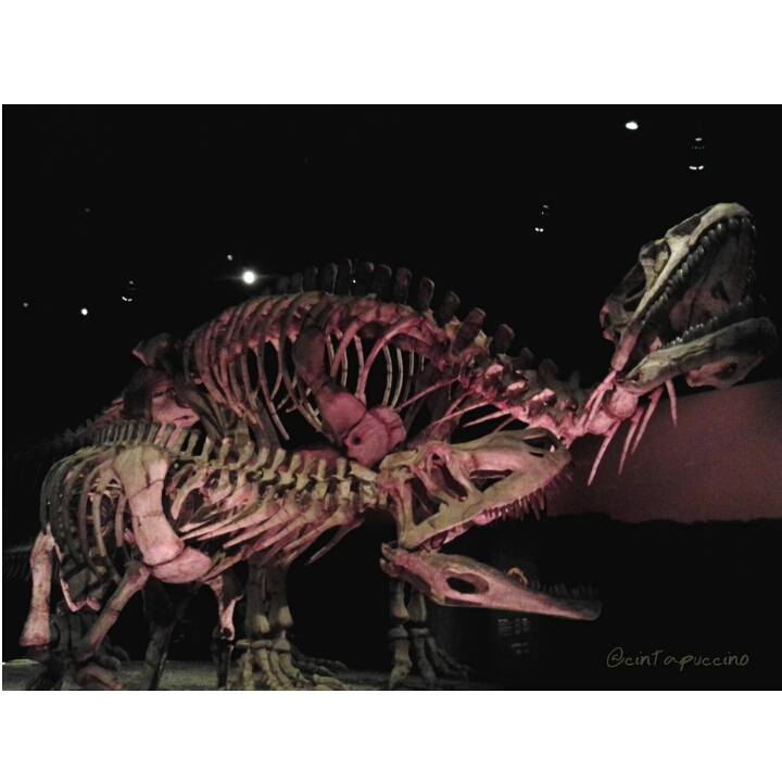 Fun Learning with the Dinosaurs