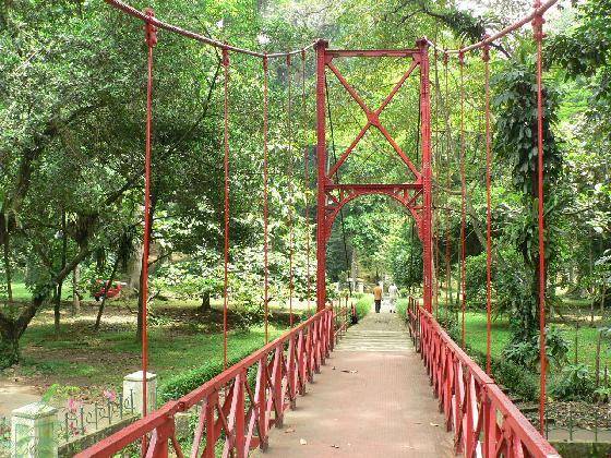 Kebun Raya Bogor 101