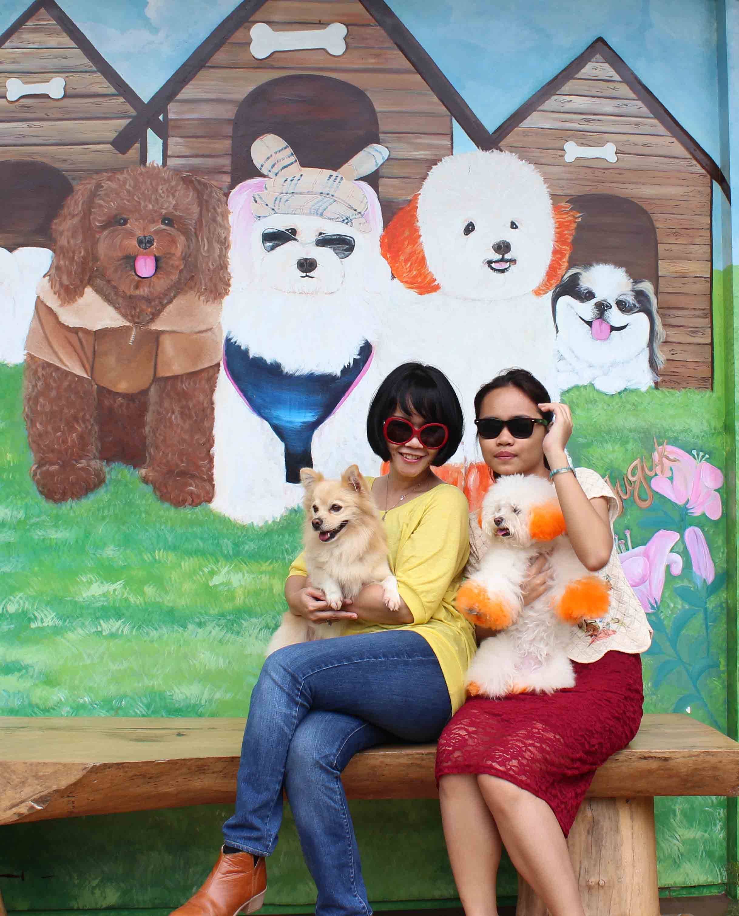 Rumah Guguk, Surga Pecinta Anjing