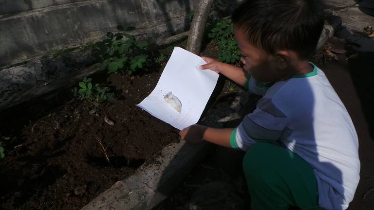 Mengenalkan Konsep Kematian Pada Si Kecil