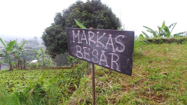 Petualangan Di Kebun Sayur