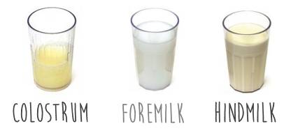 Breastmilk Changes