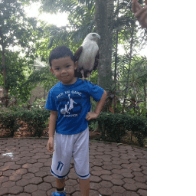 Yuk, Berkunjung Ke Taman Burung !