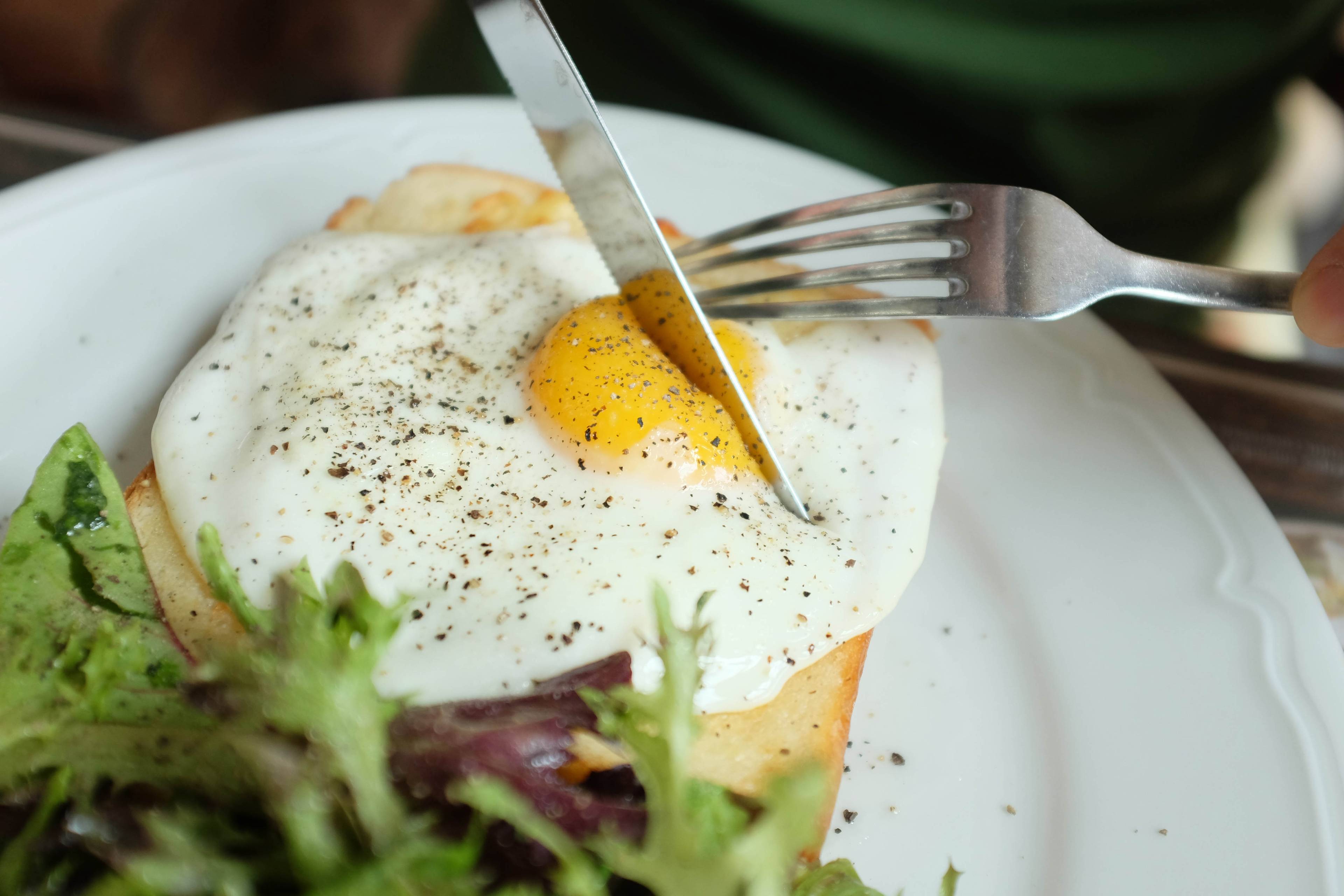 12 Direktori Katering Sehat