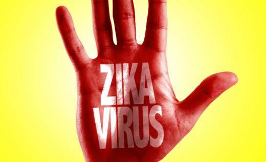Apa Itu Virus Zika?
