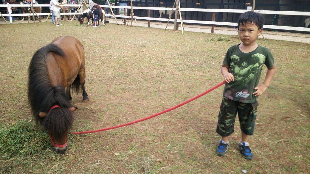 Jadi Koboi Sehari di Branchsto