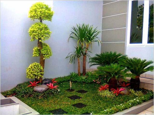 5 Kiat Menyiasati Halaman Rumah Sempit Jadi Taman Asri