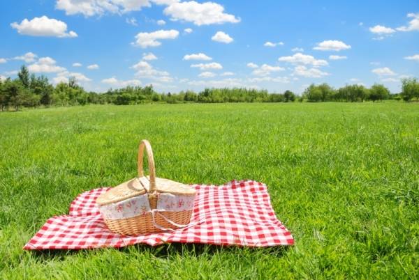 Direktori Tempat Piknik Keluarga