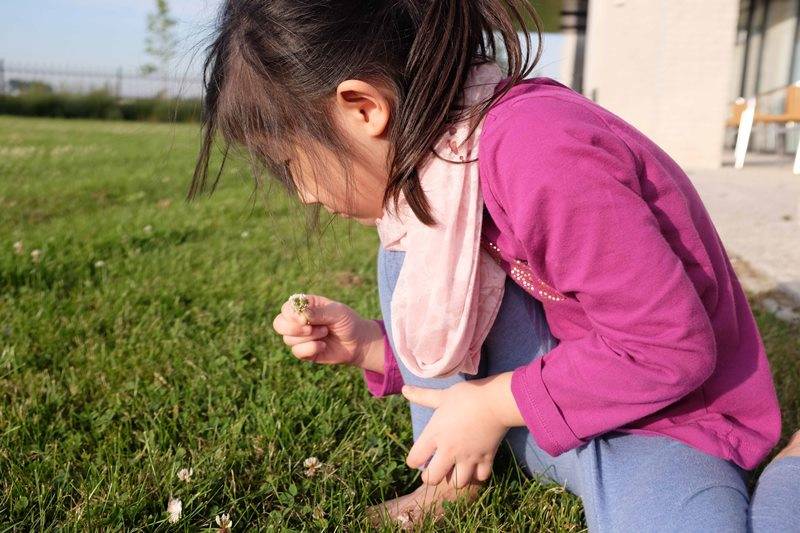 Minyak Telon Plus, Melindungi Si Kecil dari Penyakit Akibat Gigitan Nyamuk