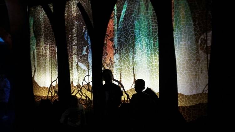 Jakarta Aquarium, Belajar Tentang Penghuni Laut
