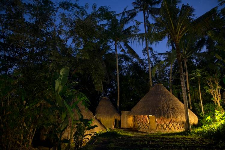 Mengenal Alam Sambil Berkemah Seru di Green Camp, Bali