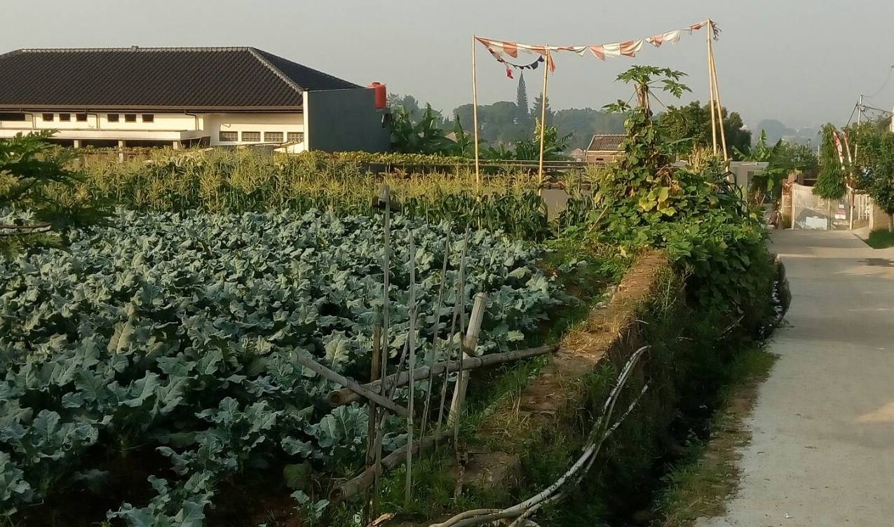 Asiknya Tinggal di Desa