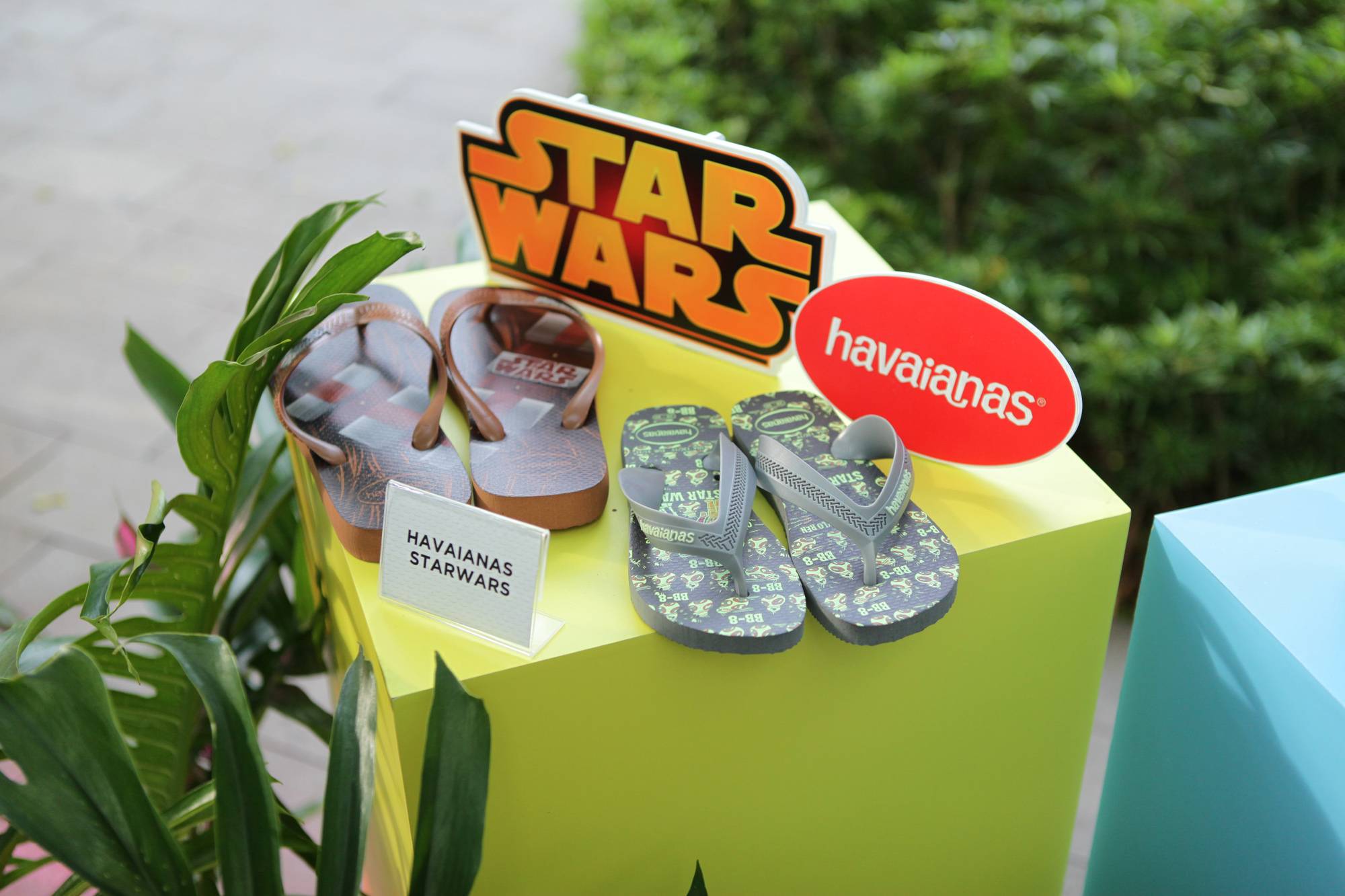 Liburan Akhir Tahun Makin Ceria, dengan Koleksi Summer Havaianas