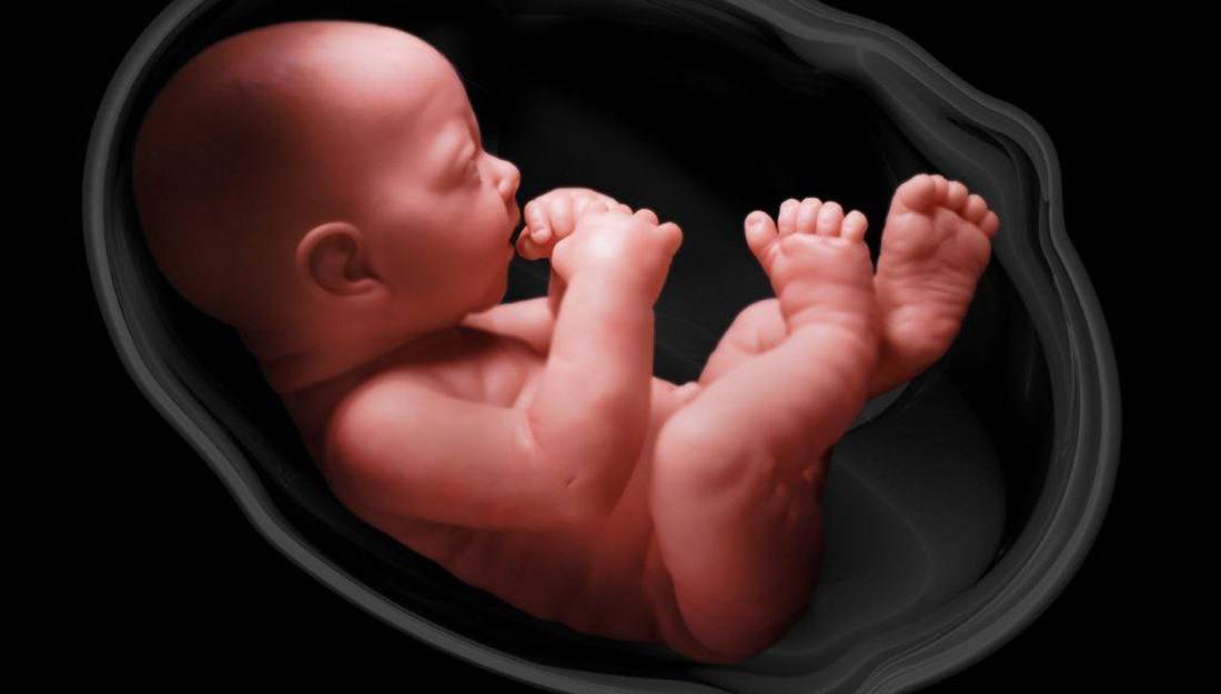 Tanda Janin Sedang Bermasalah dalam Rahim per-Trimester
