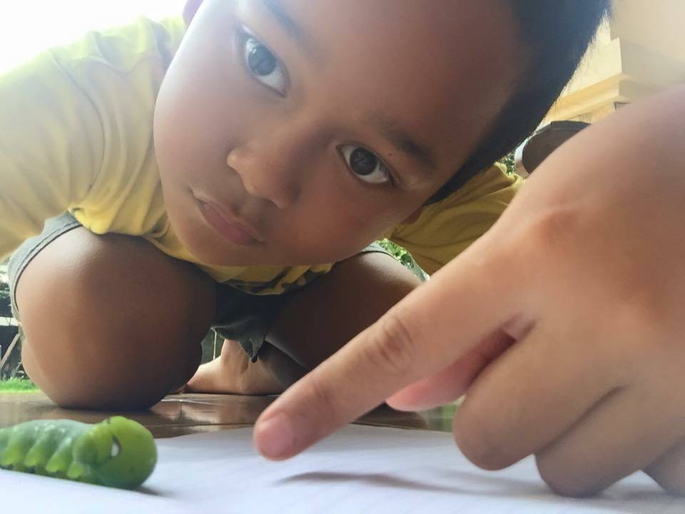 Orangtua, Jangan Biarkan Anak Menyakiti Binatang