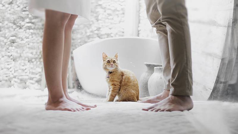 Berhubungan Baik dengan Mantan Pacar, Yay or Nay?
